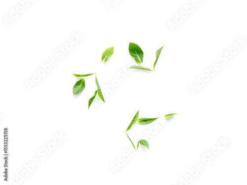 Recycling Leaves Icon on Light Background – Eco-Friendly Concept of Sustainable Production, Eco Plastic, and Green Fuel (AI Generated)
