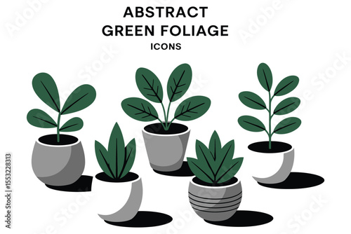 Small potted houseplant with green leaves and a vibrant flower, isolated on white