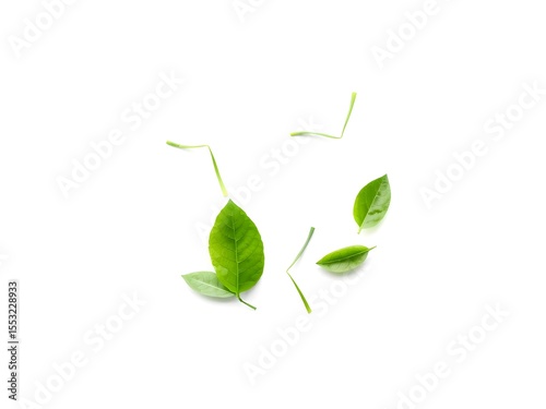 Recycling Leaves Icon on Light Background – Eco-Friendly Concept of Sustainable Production, Eco Plastic, and Green Fuel (AI Generated)