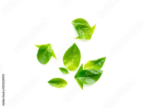 Recycling Leaves Icon on Light Background – Eco-Friendly Concept of Sustainable Production, Eco Plastic, and Green Fuel (AI Generated)