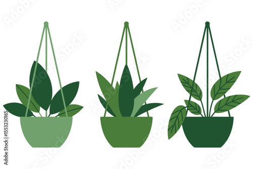 Green houseplant in a pot with lush leaves and fresh flowers, a natural home decoration