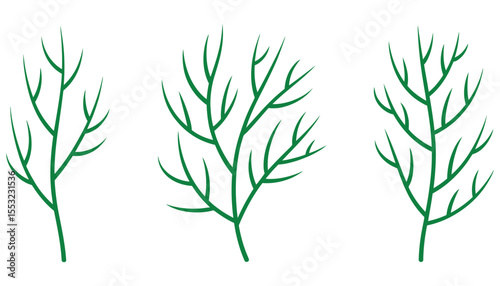 Green bamboo leaves, a natural plant design, are isolated on a white background