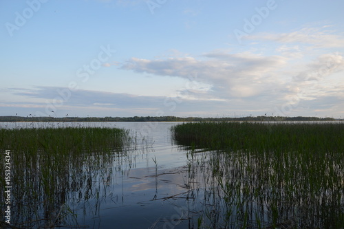 Relax in Seliger with dog