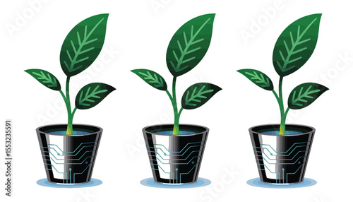 Small green houseplant growing in a white pot, isolated for new spring growth