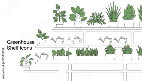 Indoor plants in pots bring natural decor and a touch of the garden into any home, from kitchen to living room