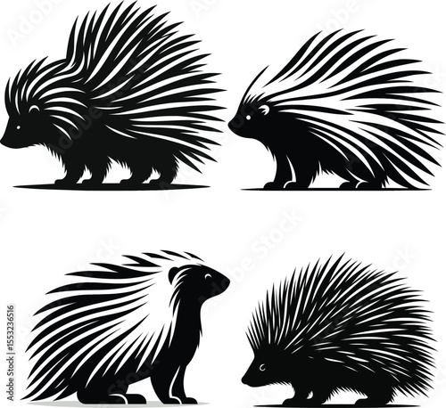 Four stylized porcupine silhouettes in black and white, showcasing different poses and quill details