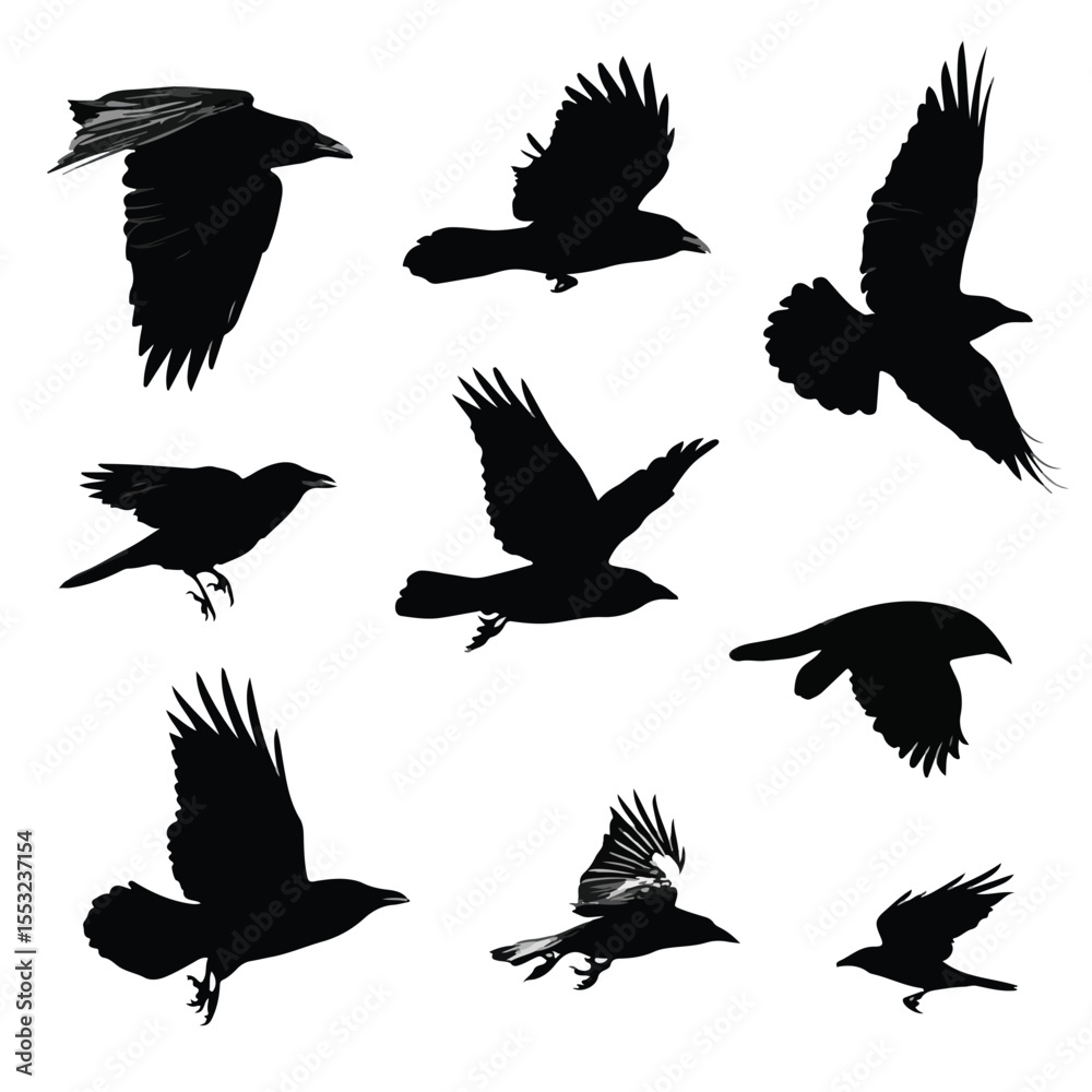 Obraz premium set of silhouettes of crow