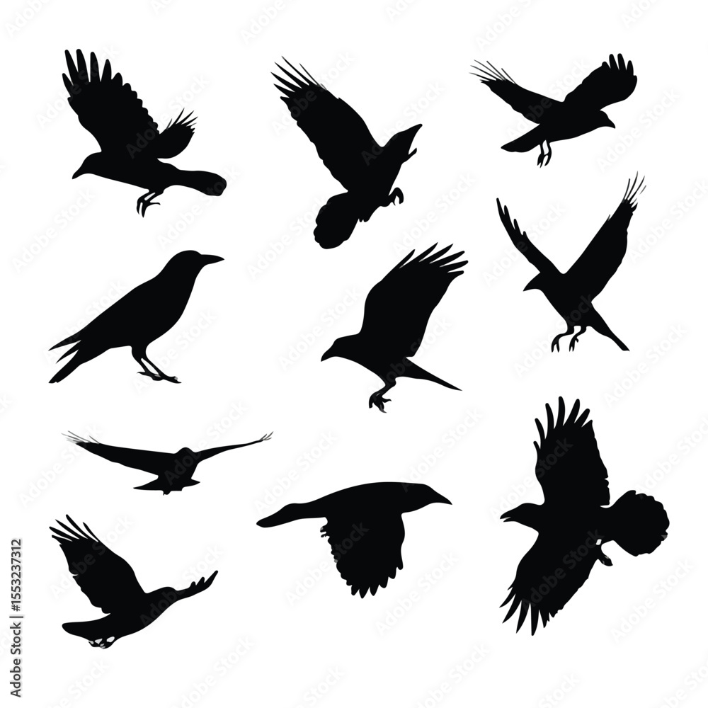 Obraz premium set of silhouettes of crow