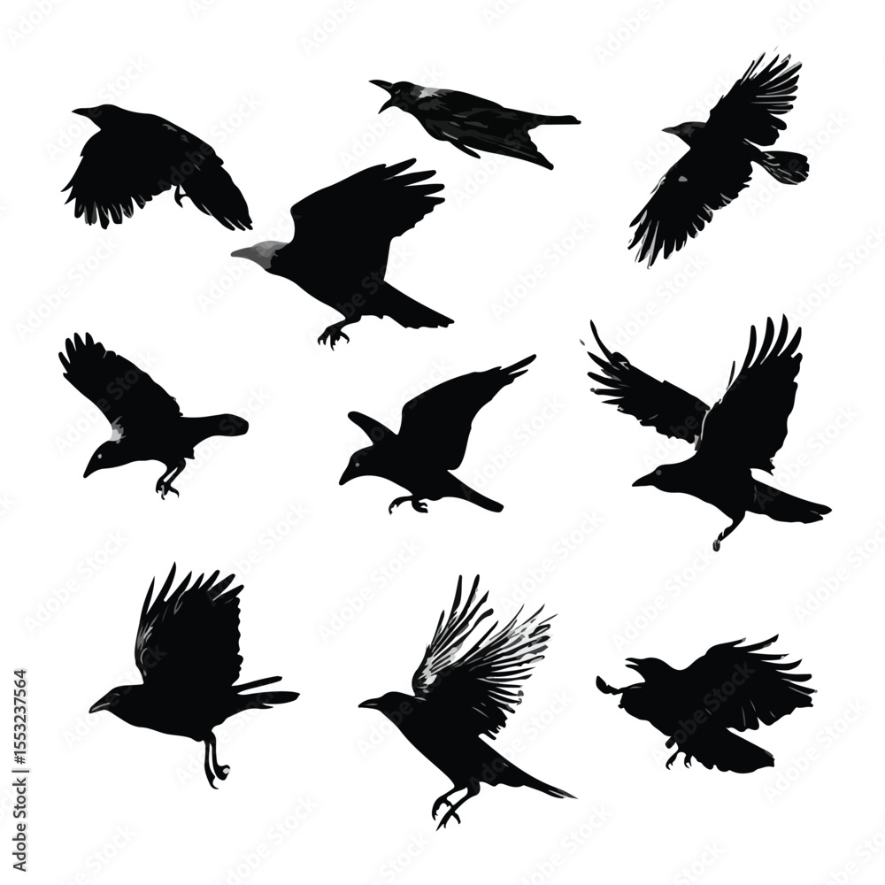 Obraz premium set of silhouettes of crow