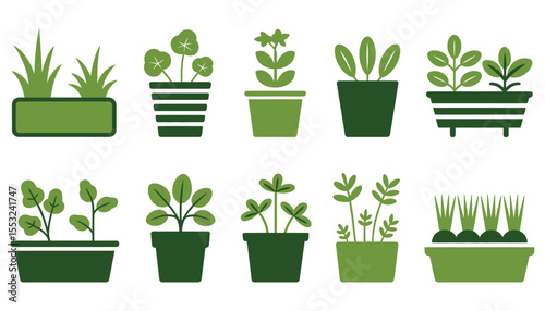 Assorted green potted plants with vibrant leaves, perfect for gardening and nature-inspired home decor