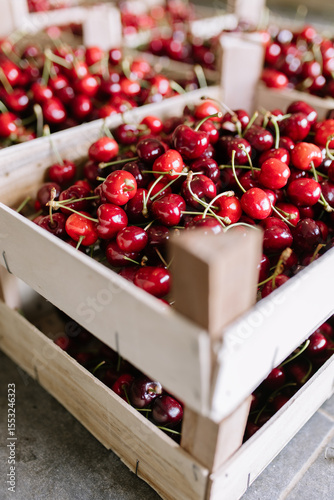 Freshly harvested cherries in wooden crates at a local market during summer