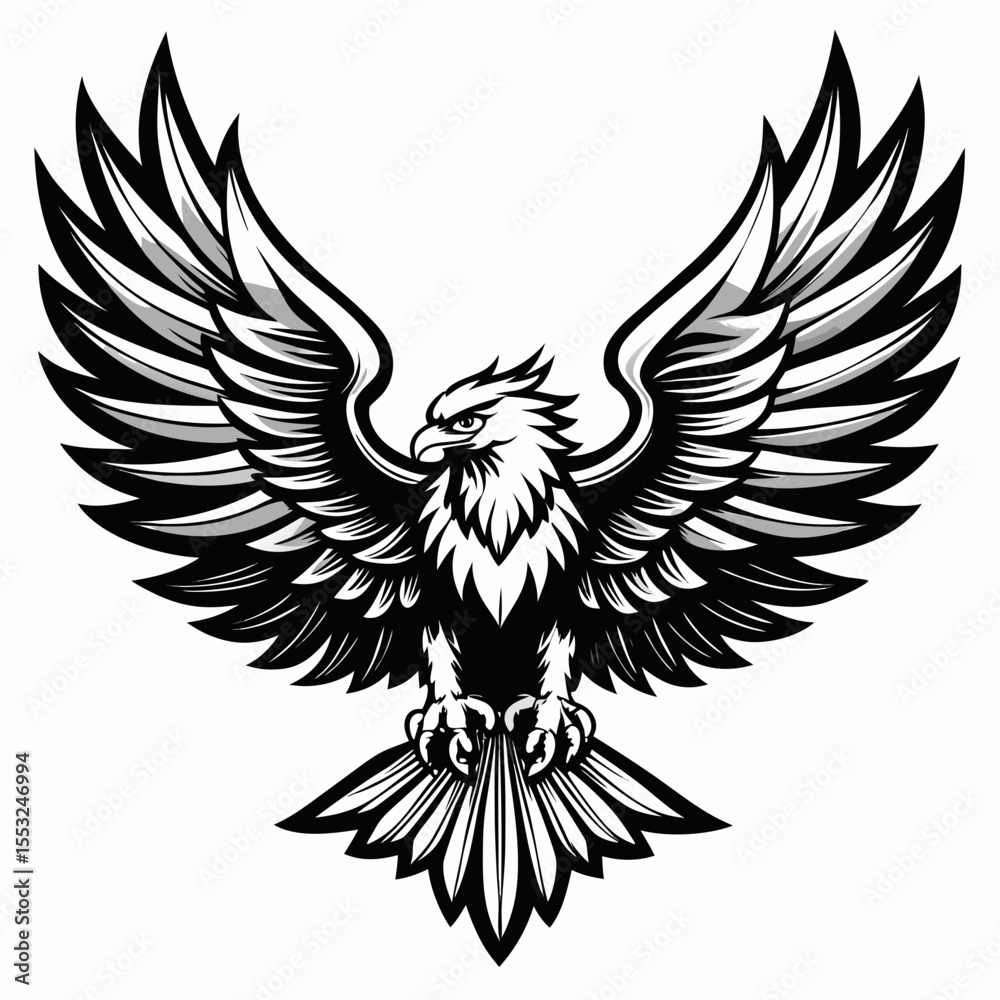 Fototapeta premium Powerful black and white eagle with outstretched wings and sharp talons