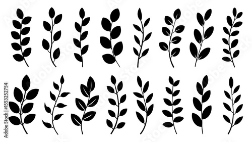 A Set of 15 Black and White Botanical Illustrations Leaves and Branches