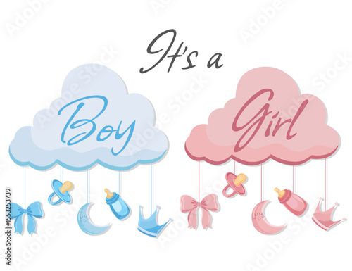 It's a boy It's a girl Gender Party reveal Pink or blue cloud with baby elements