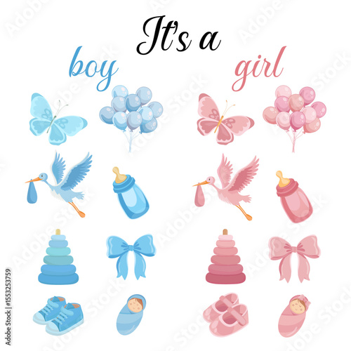 Gender reveal party baby girl or boy elements Blue and pink illustrations
