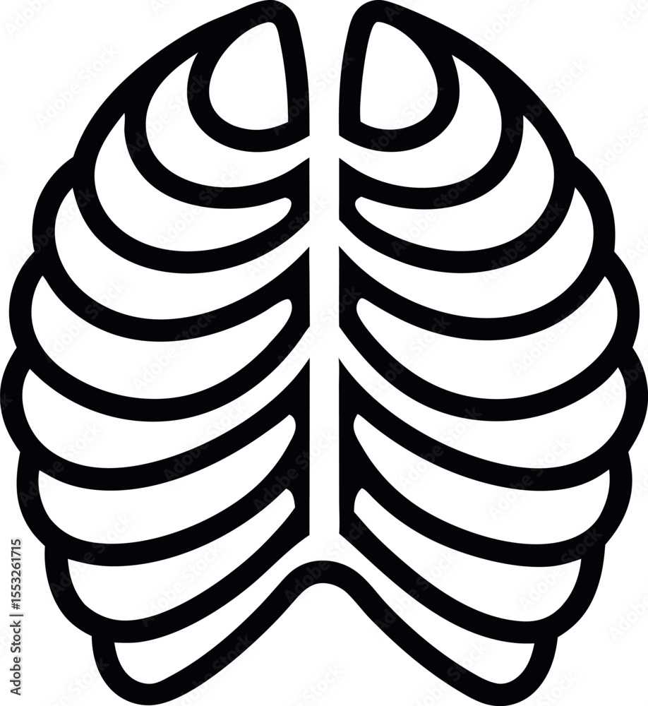 rib cage
