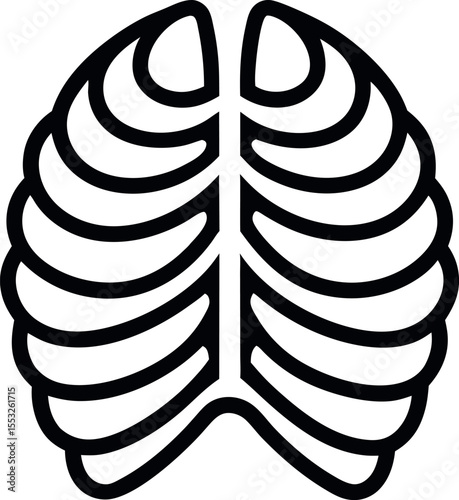 rib cage