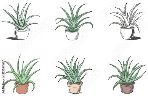 Aloe Vera in Pot Vector Designs Set Flat Minimal Potted Plant Illustrations for Stickers and Prints