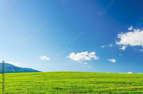 A large, open field with a blue sky. There are no clouds in the sky. The grass is green and the field is very large