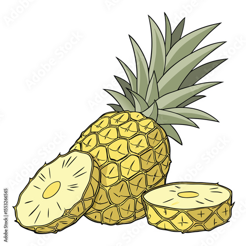 Pineapple Fruit Illustration on White Background