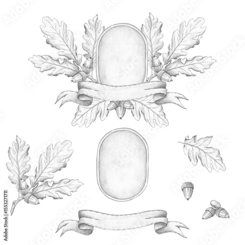 Oval wreath vignette for photography with oak leaves and acorns decorated with ribbon and isolated on a white background. Oak, foliage, family tree, symbol, genus, history. A hand-drawn pencil drawing