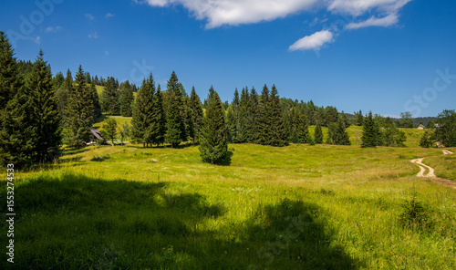 Summer in the Julian Alps - mountain pastures around Lake Bohinj