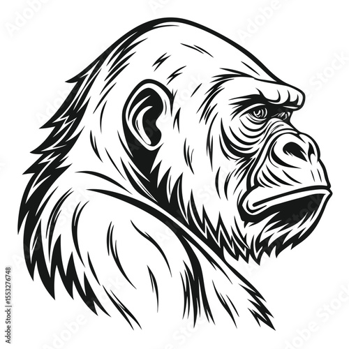 Wallpaper Mural Minimal gorillas Line Art Vector Tattoo Illustration with Elegant Silhouette Style Clip Art for Fashion Print Decor and Hand Drawn Graphic Ink Drawing for Body Art and Stationery Torontodigital.ca