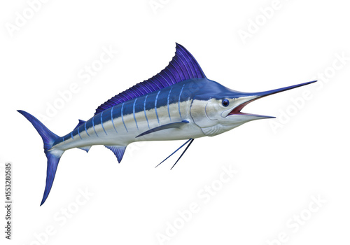 Isolated Blue Marlin Swimming with Open Mouth