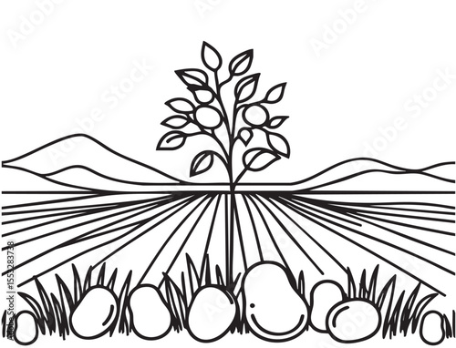 Abstract Potatoes sketch farm fields landscape. Vector line sketch illustration