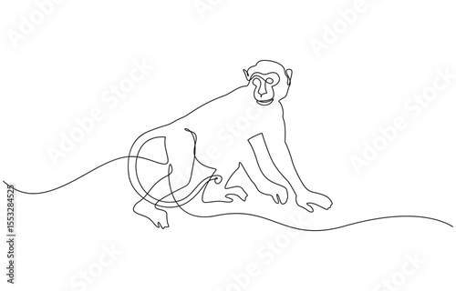 One continuous line drawing of Spider Monkey vector illustration, Elegant galada monkey illustration in continuous line drawing. Monkey single line art vector illustration. Editable vector
