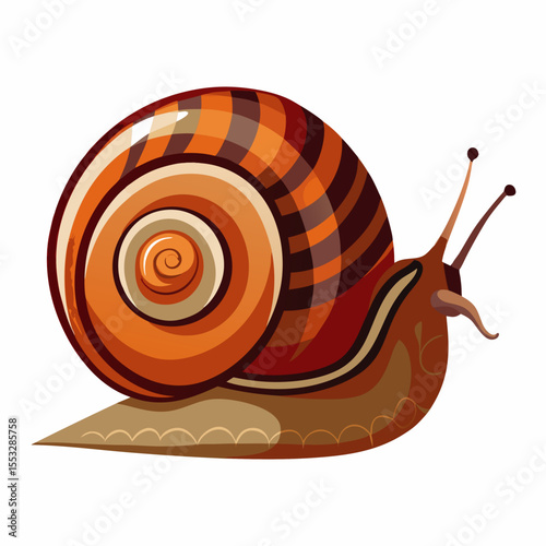 Stylized illustration of a brown and orange striped garden snail on a white background