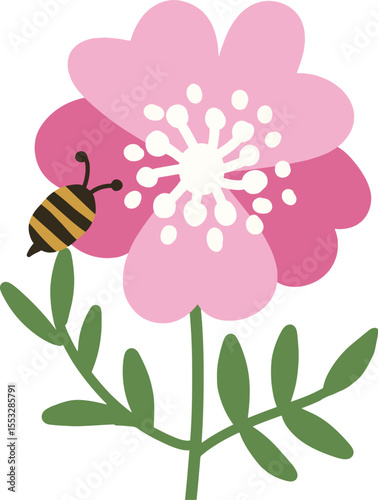 bee on flower