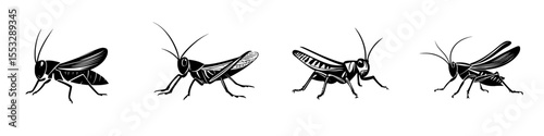 Various black icon designs of crickets depicted in a minimalistic style for use in graphics and illustrations
