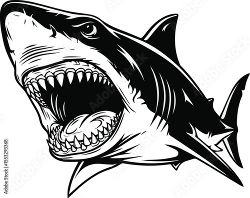 Create a kinds of deferent Black and white illustration of a fierce shark with an open mouth full of sharp teeth. Street art, Brutalism flash tattoo, black and white illustration, isolated vector art 