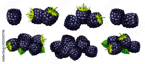 Set of ripe blackberries in cartoon style. Vector illustration of fresh, juicy blackberries, peeled and with stems, leaves isolated on white background. Seasonal berries. Healthy snacks.