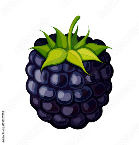 Blackberry in cartoon style. Vector illustration of tasty, sweet blackberries with green stems, isolated on white background. Healthy snacks. Summer berries. Seasonal nutritious berries.