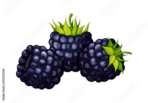 Fresh blackberries in cartoon style. Vector illustration of tasty, juicy blackberries with green stems isolated on white background. Healthy snack. Summer berries.