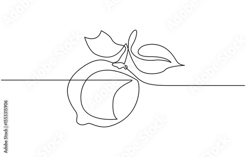 Lemon fruit continuous one line drawing minimalism design, Lemon yellow continuous one line drawing set isolated, of lemon lime fresh summer fruit vector illustration.