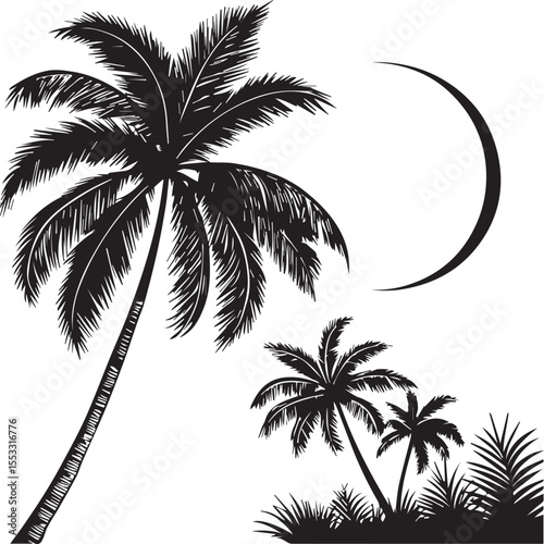 vector illustration of palm trees