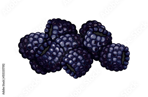 Pile of delicious blackberries in cartoon style. Vector illustration of ripe juicy blackberries isolated on white background. Healthy food. Seasonal berries.