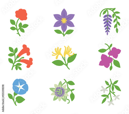 Climbing Plants Icons. Flat icon set of flowering climbing plants: climbing rose, clematis flower, wisteria