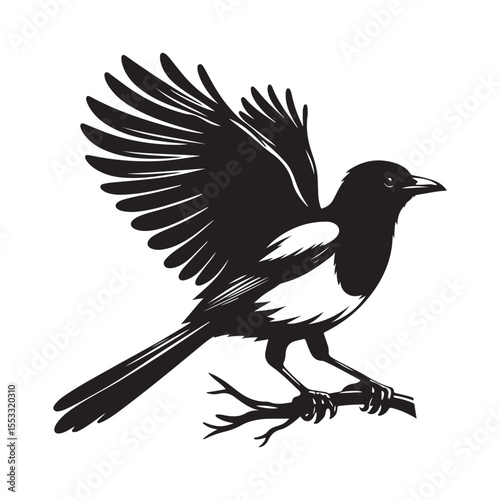 crow on a branch