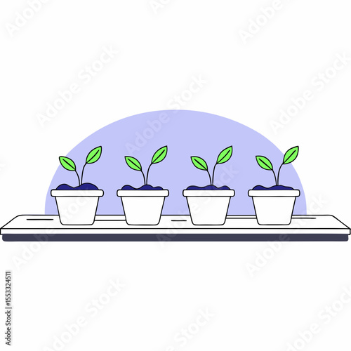 Four small green plant seedlings in white terracotta pots on shelf  