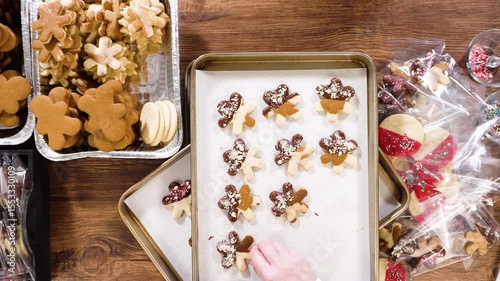 Festive Cookie Packaging with Chocolate-Dipped Christmas Delights