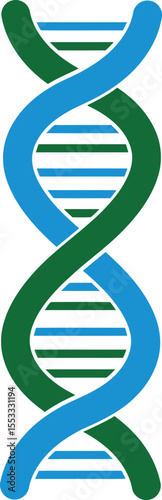 Double helix DNA structure in blue and green.