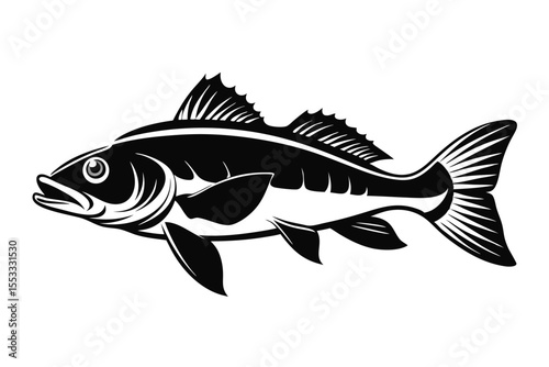 Black and White Illustration of a Bass Fish with Detailed Fins and Tail