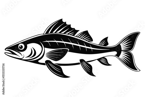 Detailed Illustration of a Fish with Prominent Fins and Scales in Black and White