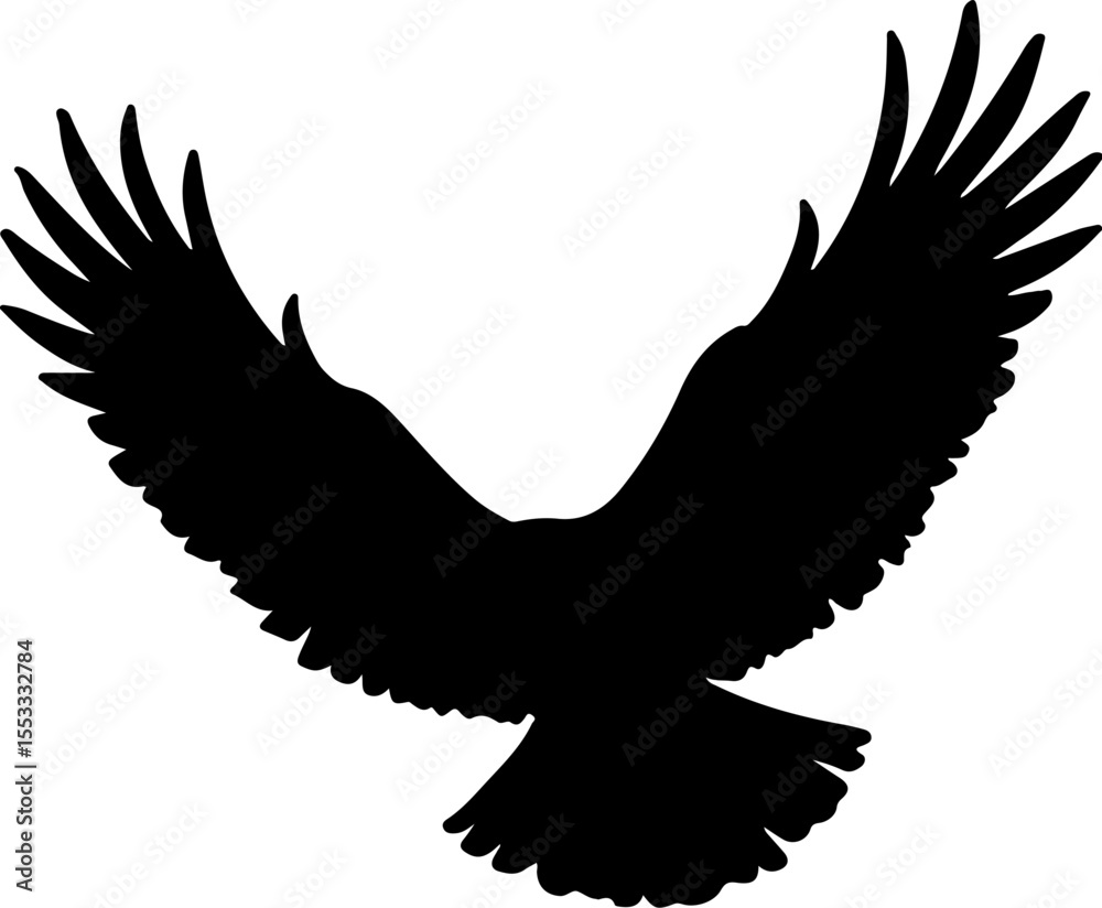 Obraz premium eagle in flight