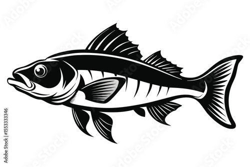 Black and White Graphic Illustration of a Fish with Intricate Details and Fins