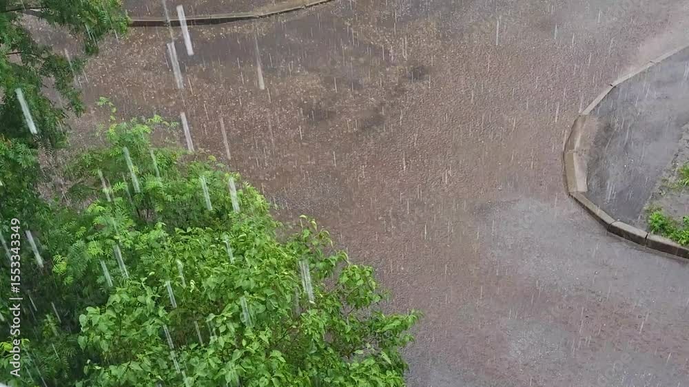 custom made wallpaper toronto digitalHeavy summer rain leaves large puddles in the yard.